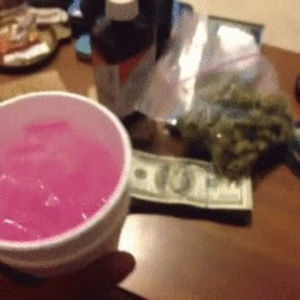 Meet your Posher, Fiz!